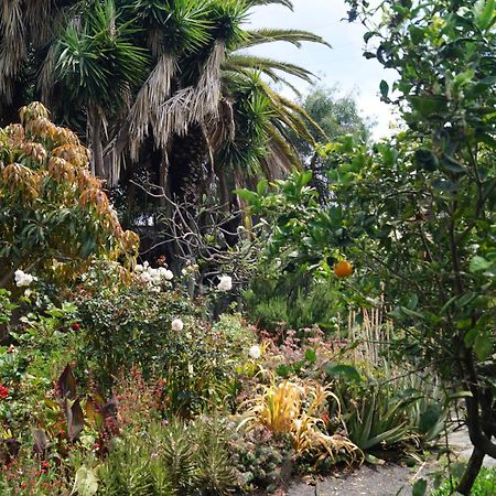 La Casita Del Jardinero Villa Los Llanos De Aridane Ngoại thất bức ảnh