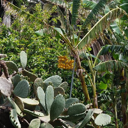 La Casita Del Jardinero Villa Los Llanos De Aridane Ngoại thất bức ảnh