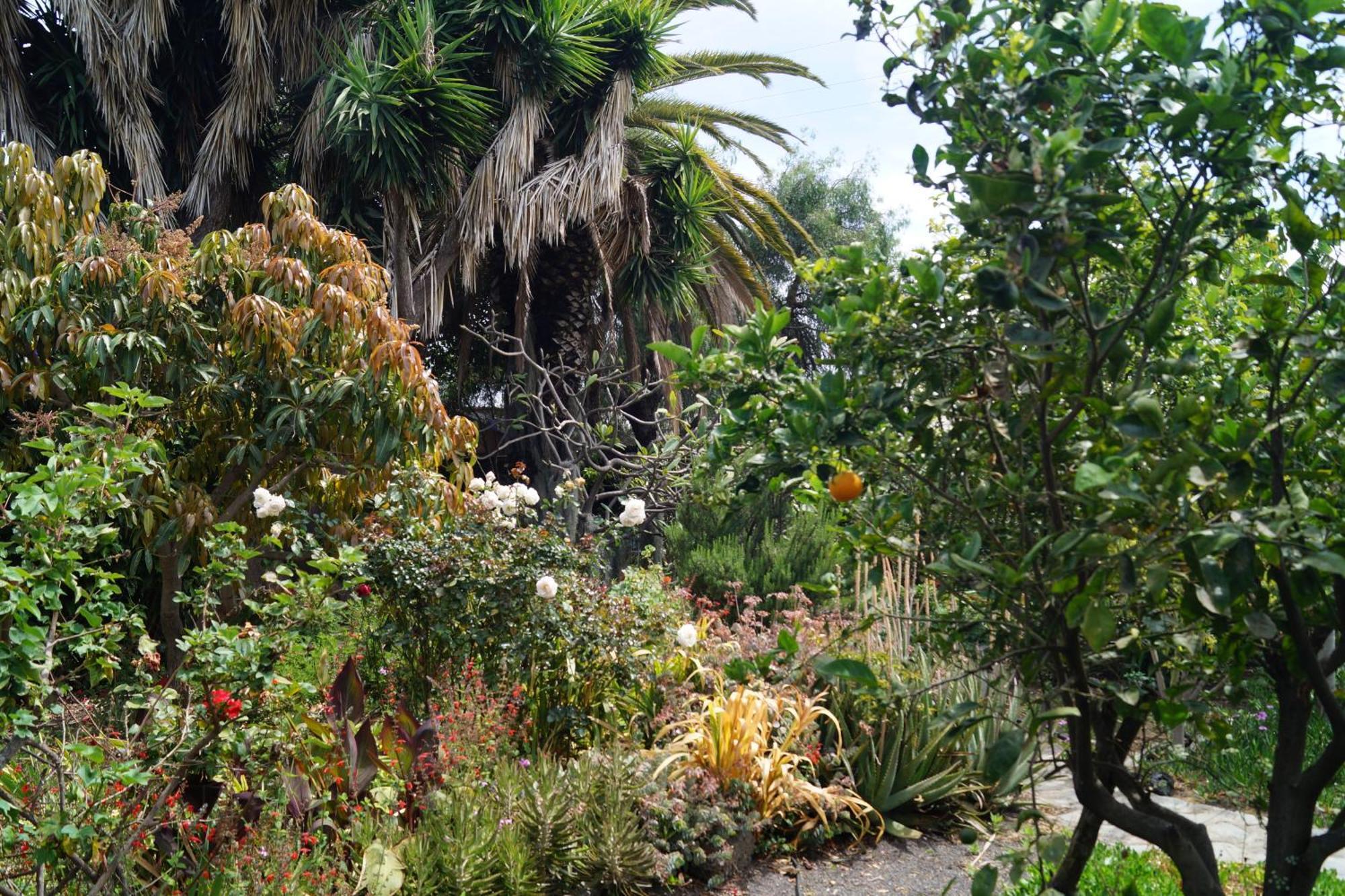 La Casita Del Jardinero Villa Los Llanos De Aridane Ngoại thất bức ảnh